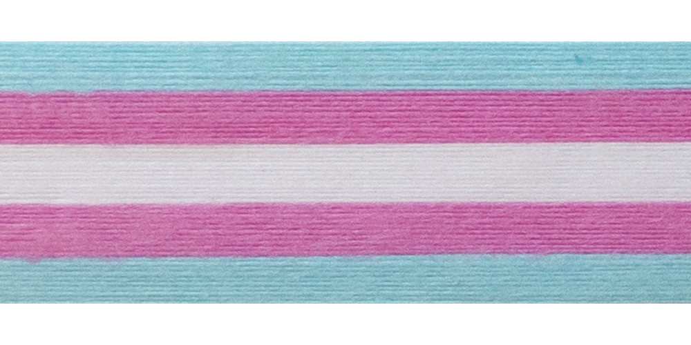 Trans Stripe
